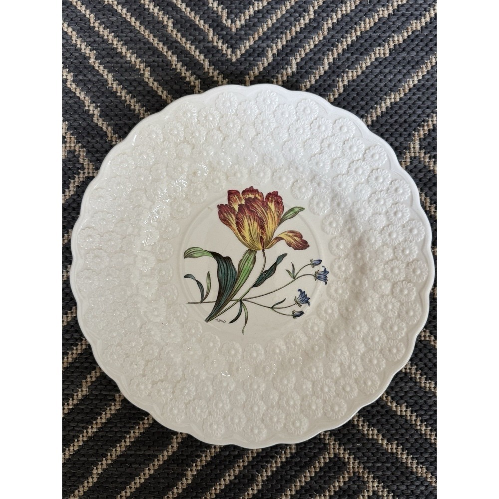 Vintage Copeland Spode Tulip No. 5 Plate Made in England 9 1/8"
